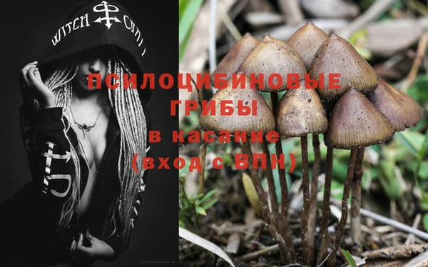 метамфетамин Алексеевка