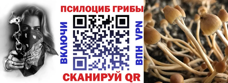 Псилоцибиновые грибы MAGIC MUSHROOMS shop наркотические препараты Новоалтайск ссылка на мегу ТОР