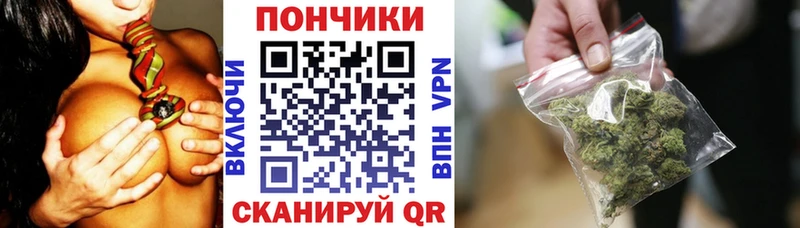 Канабис сатива  дарнет шоп  Новоалтайск 